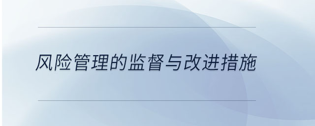風險管理的監督與改進措施