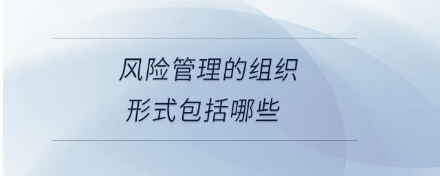 風險管理的組織形式包括哪些