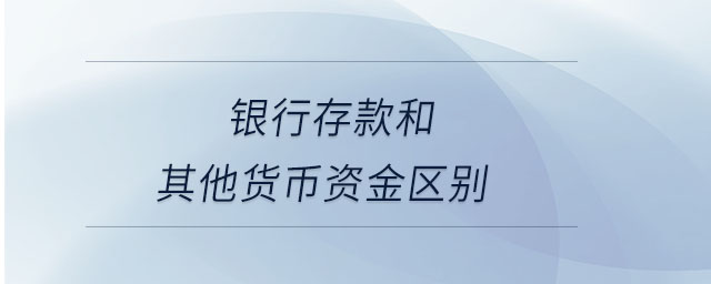 銀行存款和其他貨幣資金區別