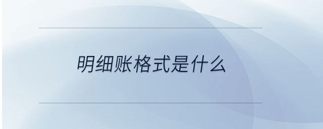 明細賬格式是什么
