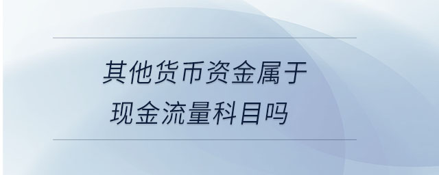其他貨幣資金屬于現金流量科目嗎