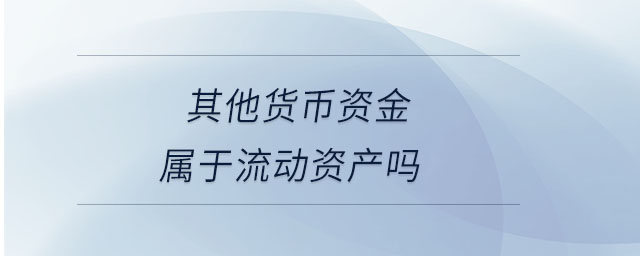 其他貨幣資金屬于流動資產嗎