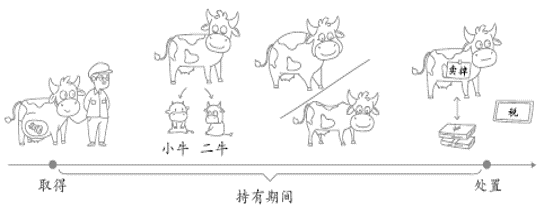 初級會計小故事