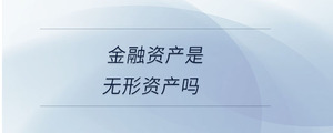 金融資產是無形資產嗎