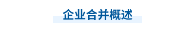 企業合并概述