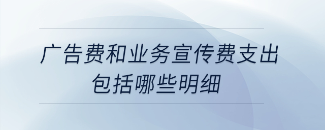 廣告費和業務宣傳費支出包括哪些明細？