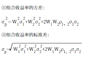 組合風險衡量指標