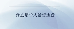 什么是個人獨資企業(yè)