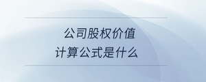 公司股權(quán)價值計算公式是什么