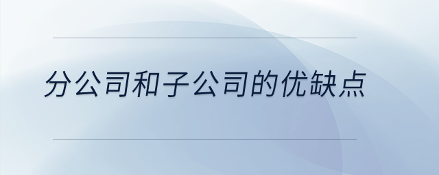 分公司和子公司的優缺點？