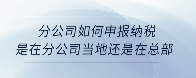 分公司如何申報納稅？是在分公司當地還是在總部？