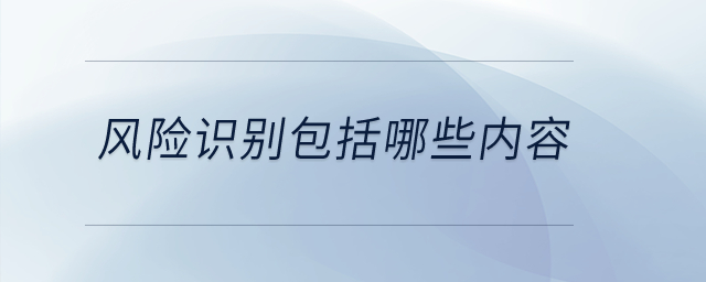 風險識別包括哪些內容？