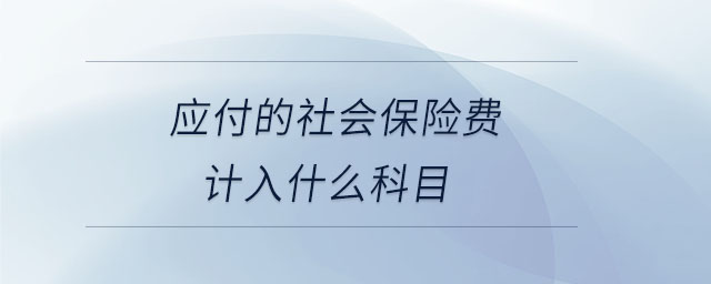應付的社會保險費計入什么科目