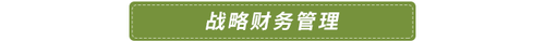 戰略財務管理