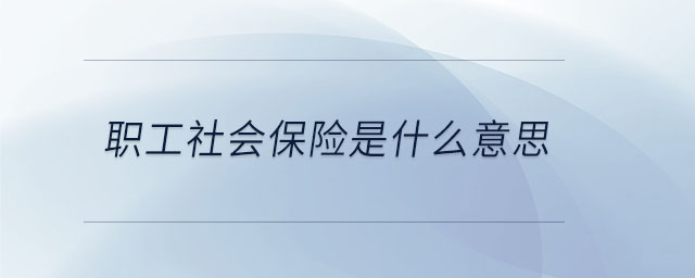 職工社會保險是什么意思