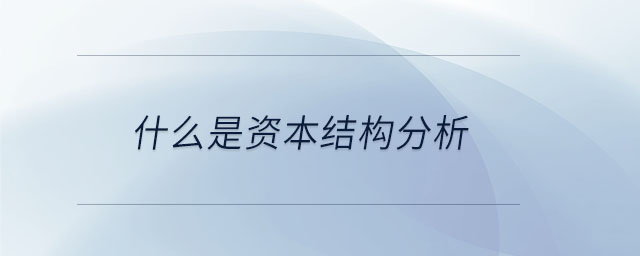 什么是資本結構分析