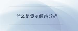 什么是資本結構分析