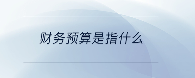 財務預算是指什么？