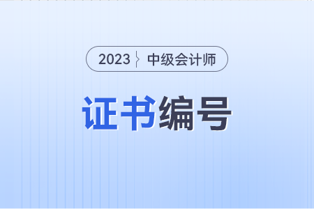 中級會計證書編號怎么查啊？