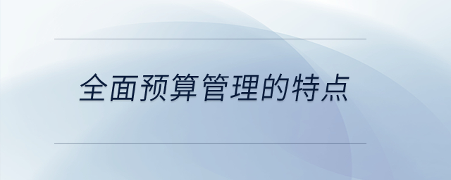 全面預算管理的特點？