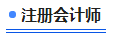 中級(jí)會(huì)計(jì)注冊(cè)會(huì)計(jì)師