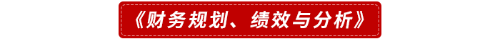《財務規(guī)劃、績效與分析》
