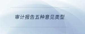 審計(jì)報(bào)告五種意見類型