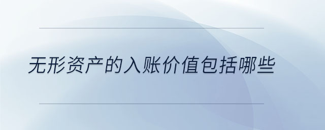 無形資產的入賬價值包括哪些