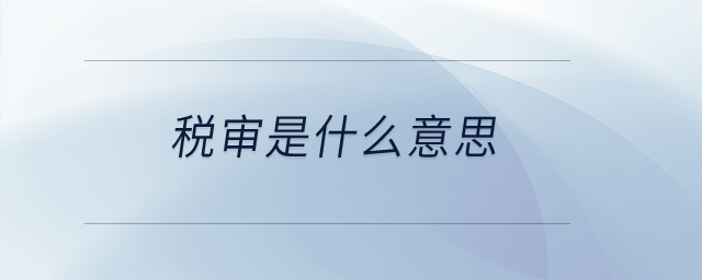 稅審是什么意思？