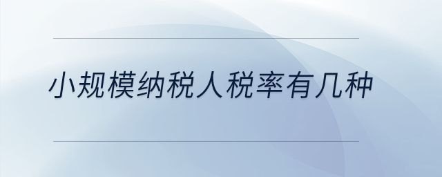 小規模納稅人稅率有幾種？