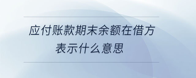 應(yīng)付賬款期末余額在借方表示什么意思