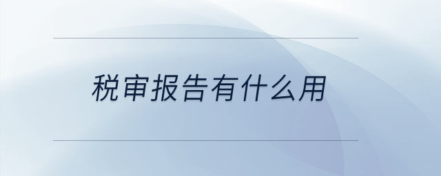 稅審報告有什么用？