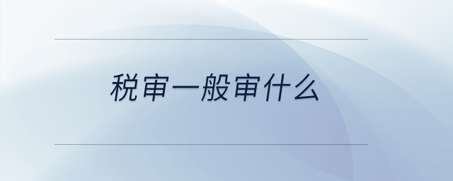 稅審一般審什么？