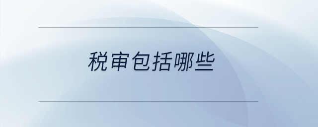 稅審包括哪些？
