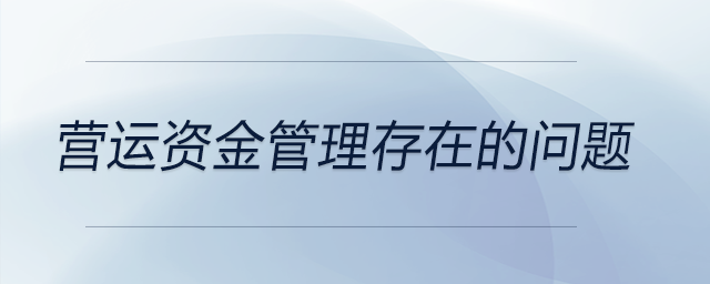 營運資金管理存在的問題