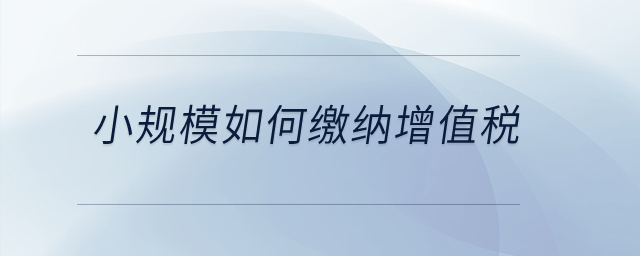 小規(guī)模如何繳納增值稅？