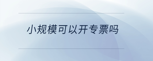 小規?？梢蚤_專票嗎？