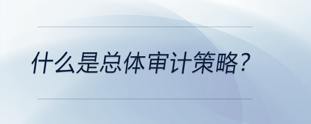 什么是總體審計策略？