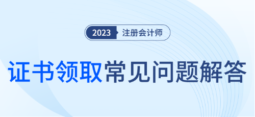 大圖