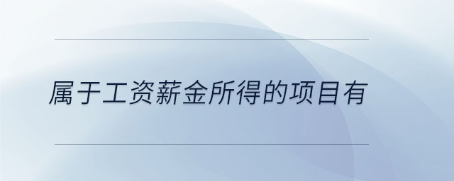 屬于工資薪金所得的項目有