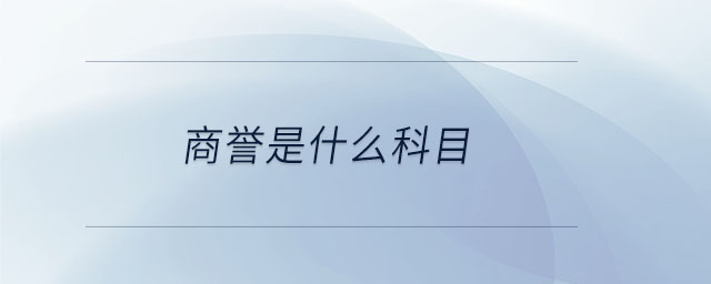 商譽(yù)是什么科目