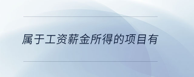 屬于工資薪金所得的項目有