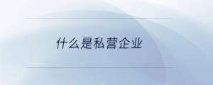 什么是私營企業