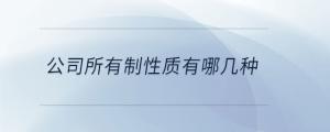 公司所有制性質有哪幾種