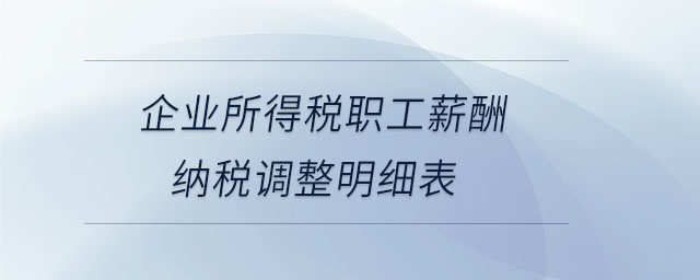 企業所得稅職工薪酬納稅調整明細表