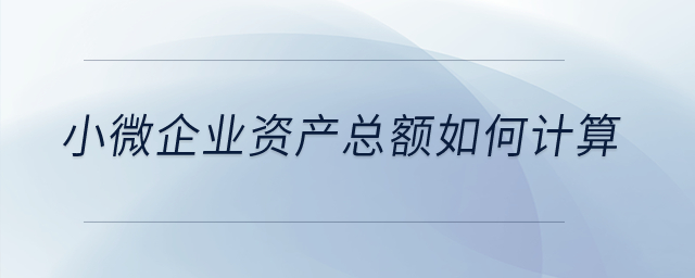 小微企業(yè)資產(chǎn)總額如何計算？
