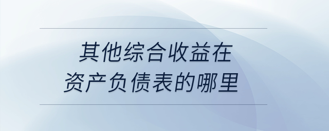其他綜合收益在資產負債表的哪里？