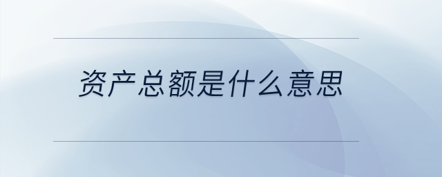 資產(chǎn)總額是什么意思？