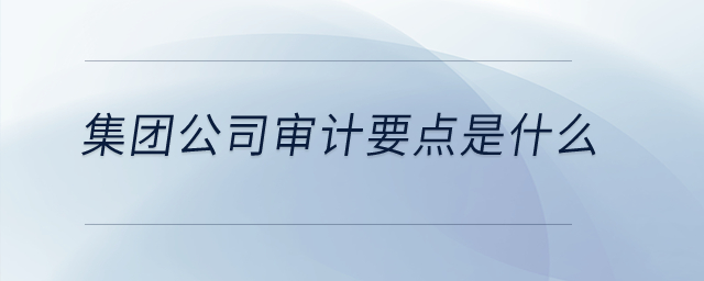 集團公司審計要點是什么？