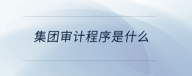 集團審計程序是什么？